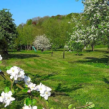 Bed & Breakfast Le Clos Du Miroir 3*